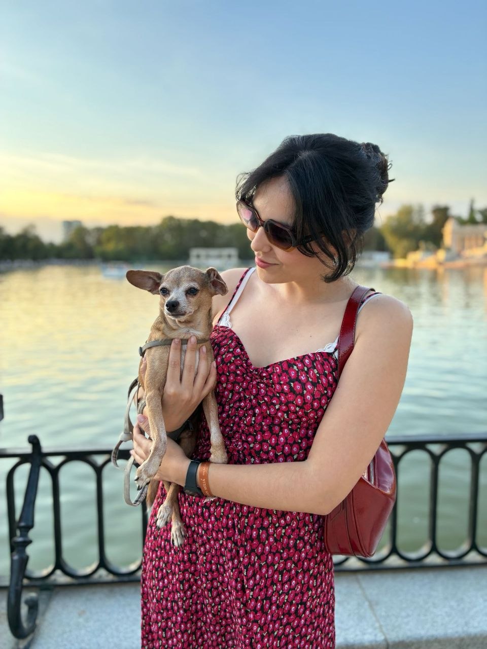 Chihuahua en brazos de Natalia junto al estanque del Retiro al atardecer